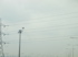 Gimpo's M25 25 Hour Spin