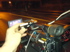 Gimpo's M25 25 Hour Spin